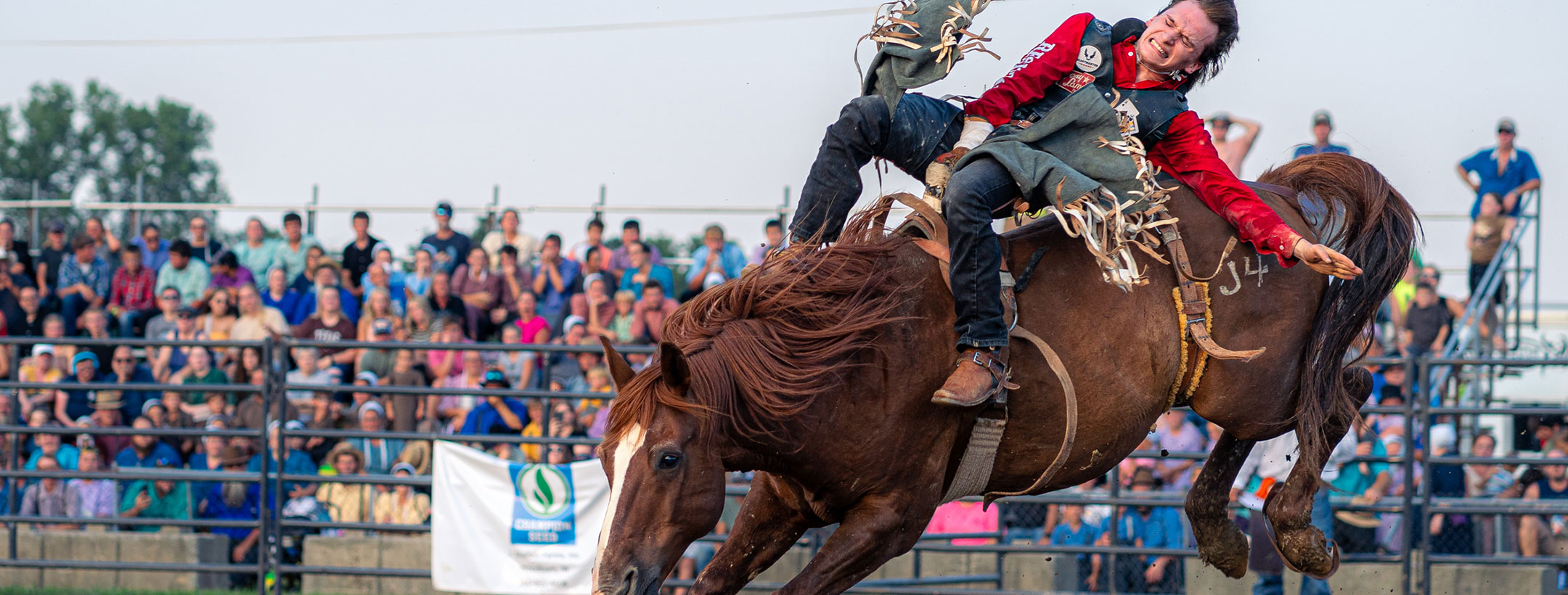 2024 Harlan Days ABP Professional Rodeo